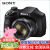 ソニ长焦げデジタルメラ/家庭用カマラDIP-H 300お得なセツ2