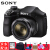 ソニ・ログフープ・カースデ/旅行カメラH 300+16 G 80 SD+4本セイト+パンジッキー