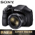 ソニのデジタルメラ/家庭用旅行カメラDSC-H 300のデジタルカラーの公式配置